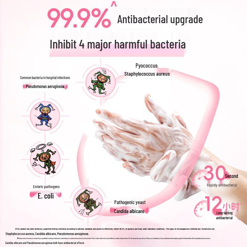 Lion Foaming Antibacterial Hand Wash