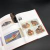 [USED] Netsuke Catalogue, Specialist Book, Western Book, Collectors' Netsuke, 354 Items