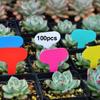 100PCS Writable Plant Gardening Flower Label Plant Label Tree Meaty Label
