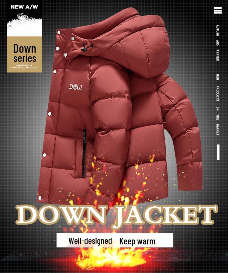 2025 Winter Men's Hooded Down Jacket - Korean Style, Warm, Stand Collar, White Duck Down for Middle-Aged & Young