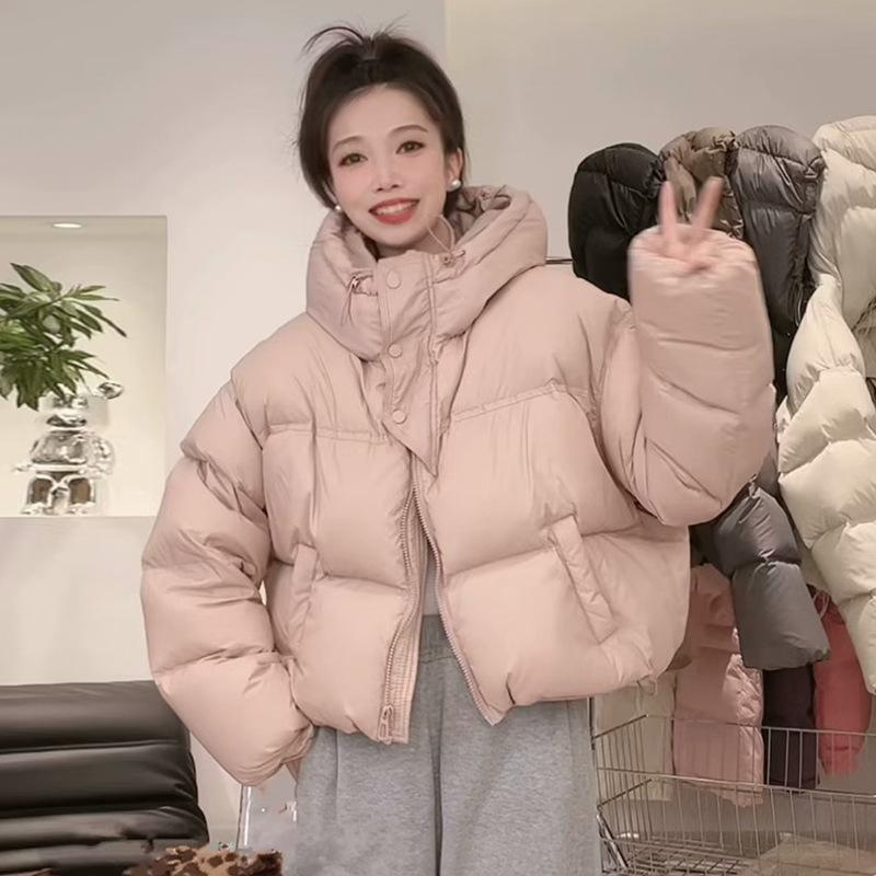 Warm Winter Small White Duck Down Hooded Warm Down Jacket Women's Winter New Short Half Placket Bread Jacket