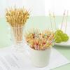 100pcs Versatile Bamboo Food Picks Disposable Dessert Sticks Toothpick Skewer  Cake Dessert