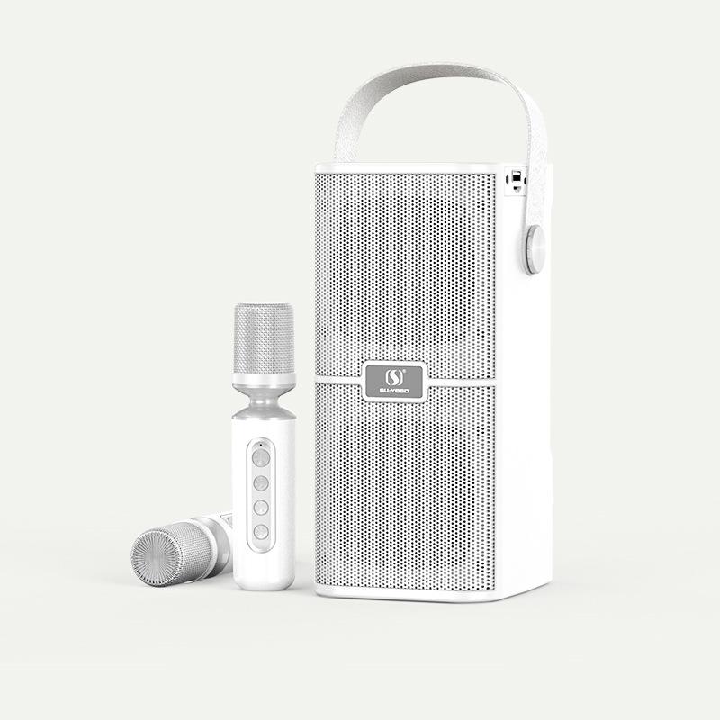 

YS218 Новый мощный и высококачественный портативный Bluetooth-динамик с двумя микрофонами, универсальный семейный караоке-вечеринка на открытом воздухе, TF аудио
