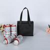 Folding Picnic Ice Pack Portable Insulated Bags Carrier Thermal Bag  Lunch