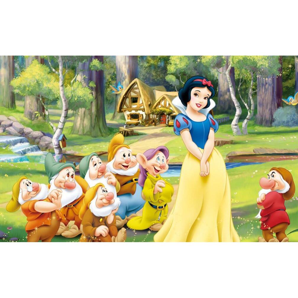 Diamond Painting Stitch Embroidery Supplies Snow White Canvas Princess Cross Stitching Kits Cartoon Decor for Home Gift