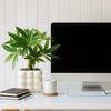Photocatalytic Artificial Green Mini Houseplant, Tropical Houseplant, Money Tree, Ceramic Square Pot, Artificial Flower, Fake Plant, with Pot, Stylish