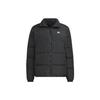 Down Jackets Men's Black Stand Collar Moderate Quilted Down Jacket IT8727