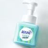 Blue Moon Foam Antibacterial Hand Soap