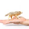 Realistische Wilde Dieren Arctische Wolf Buidelwolf Gorgonops Manenwolf Model Actiefiguren Jungle Bos Dier Speelgoed voor Kinderen
