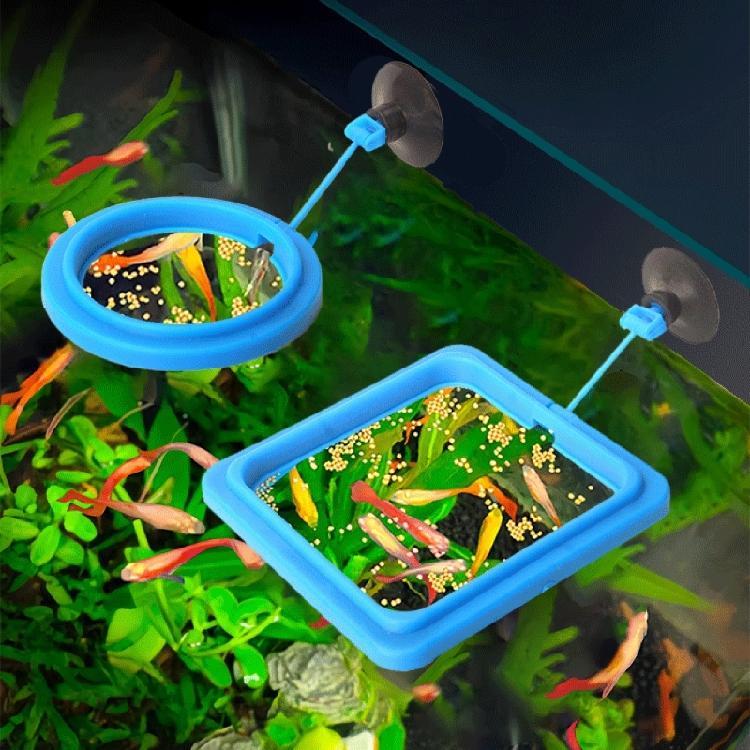 2lots Fish Tanks Aquariums Feeding Rings Aquariums Fish Feeders Suction Cup Fish Enthusiasts Essential