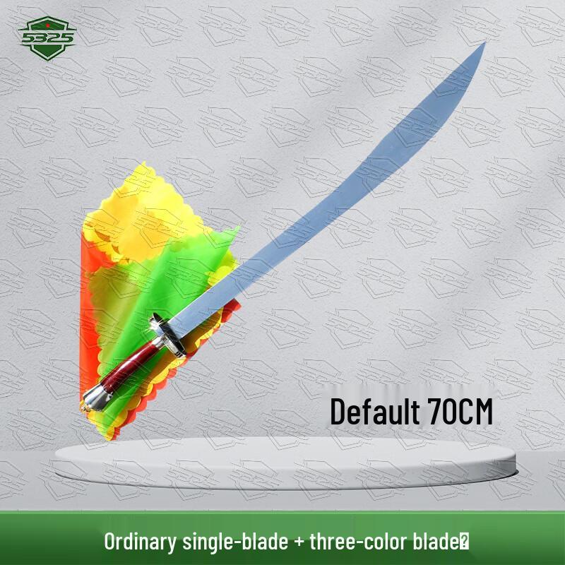 Flexible Martial Arts Tai Chi Practice Sword