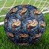 Harry Potter Theme Size 5 Soccer Ball, Suitable for Both Indoor and Outdoor Matches, a Gift Suitable for Everyone.
