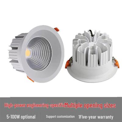 High Power COB Downlight 30W-100W Available