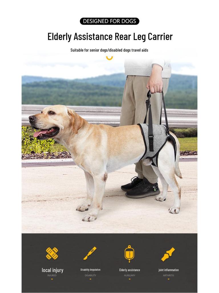 Grenzüberschreitender Reiserucksack zur Rückenstützung für ältere oder verletzte Hunde