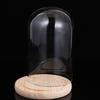 9x24cm Eternal Flower Glass Dome with Solid Wood Base Transparent Display Cover for DIY Craft Valentine Gift Compact Storage