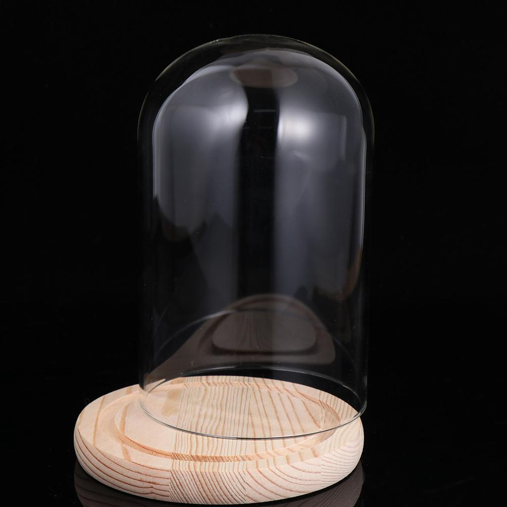 9x24cm Eternal Flower Glass Dome with Solid Wood Base Transparent Display Cover for DIY Craft Valentine Gift Compact Storage