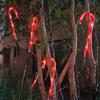 Pailide Solar Candy Cane Pathway Lights