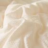 Playboy Antibacterial All-Season Duo Quilt