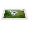 14.1in HD Digital Photo Frame 1080P Auto Rotating 6 Play Modes Electronic Photo Album with Remote