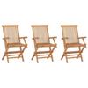 Day and Night - Day and Night Folding Garden Chairs 3 Units Solid Teak Wood