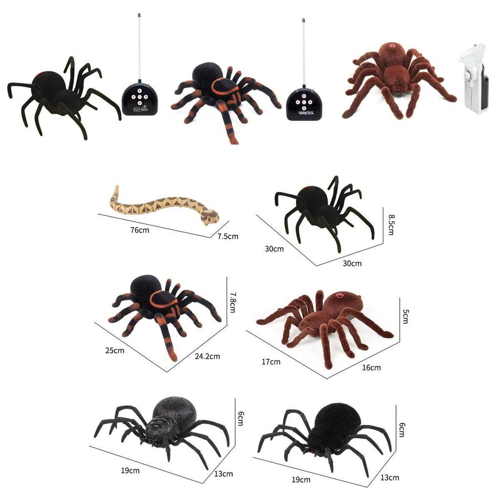 Remote Control Spider Toy With Plastic Material For Kids Age 7 To 14