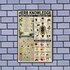 American Retro Tin Painting Herbal Knowledge Herbal Emergency Information Map Poster