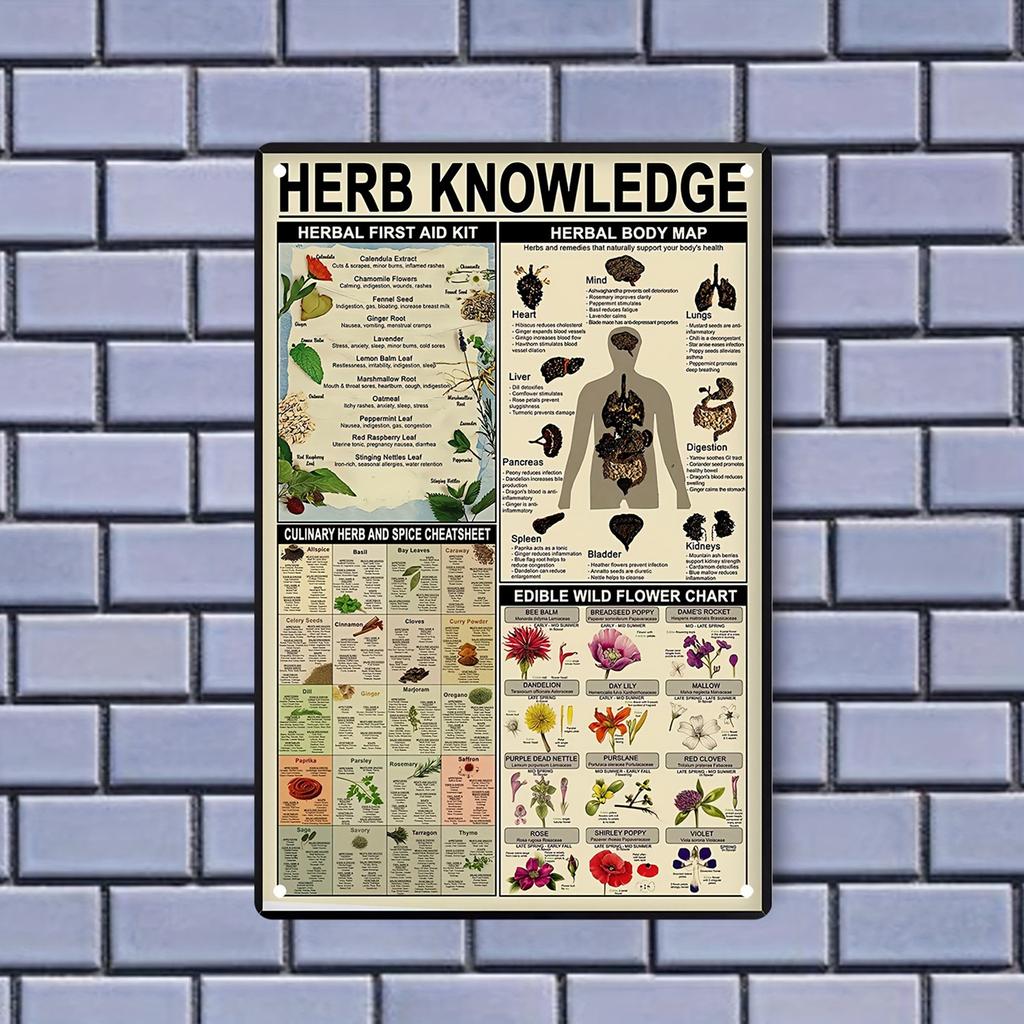 American Retro Tin Painting Herbal Knowledge Herbal Emergency Information Map Poster