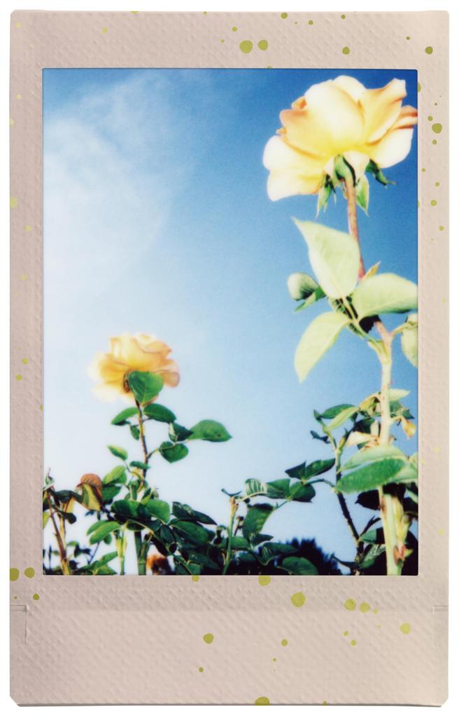 Fujifilm Instax Mini S-GLITTER WW 1 Instant Film, 10 Sheets, Soft Glitter Design