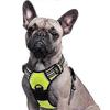Verstellbare No-Pull Hundegeschirr mit gepolstertem Weste - Trainings- & Spaziergeschirr für große Hunde (U-56-69CM) in Grün