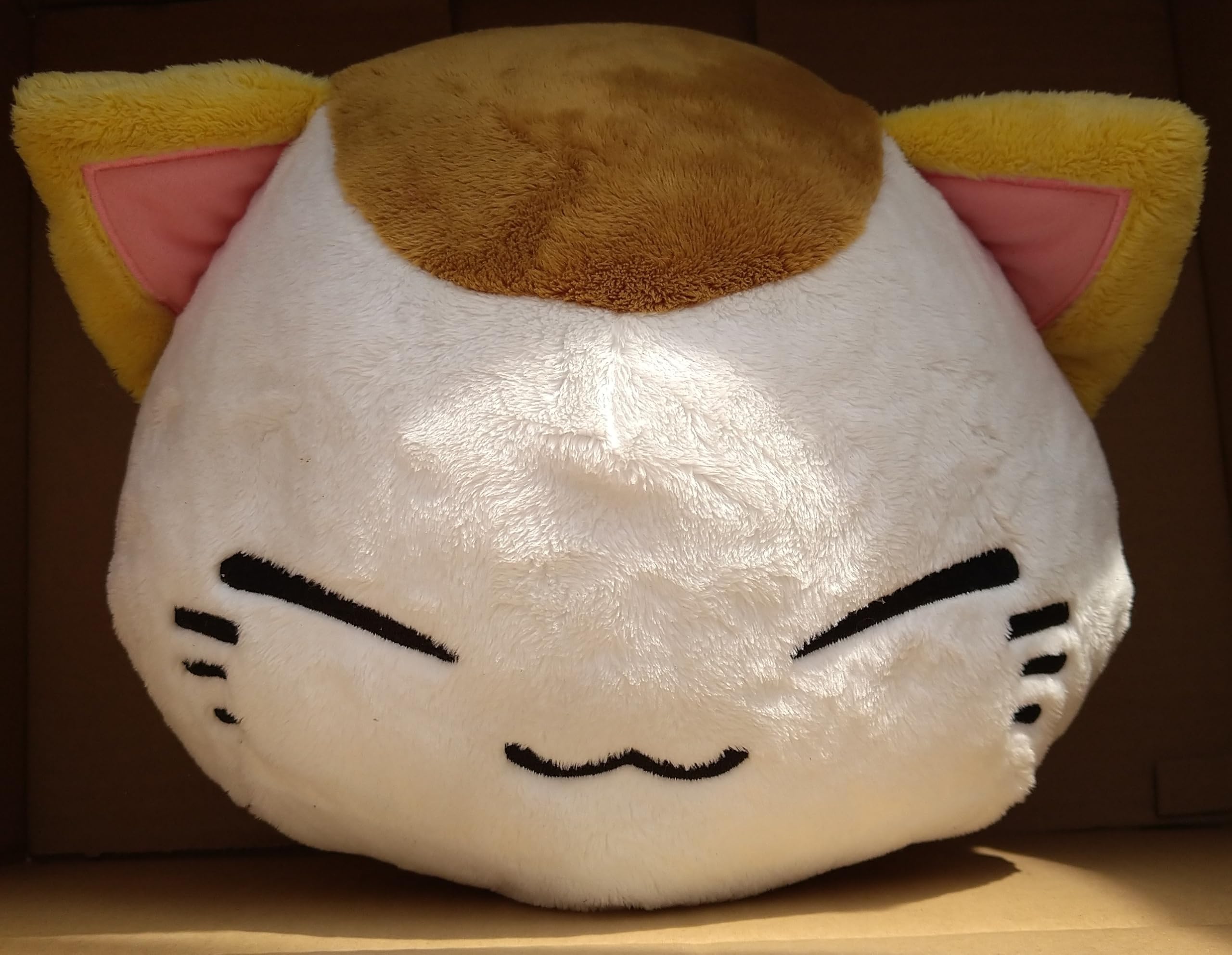 

Sleepy Cat 3L Big Plush Toy