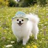 Yousheng Pet Straw Hat, Embroidered Floral Summer Cat Hat, Woven Scalloped Edge Pet Sun Hat with Adjustable Strap for Cats And Small Dogs