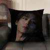P-Park Ji-Hoon Singer Cushion Cover Natural Linen Organic Fabric Double-Sided Printing Sofa Home Decor Gift Pillow Case