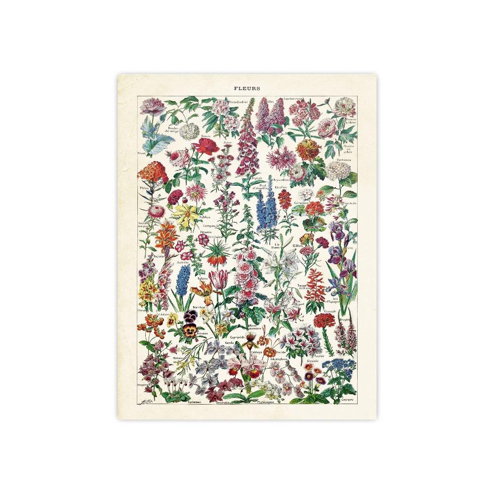 Vintage Antique Book Wall Art Plant Illustration Medicinal Herb Fruit Seaweed Tree Mushroom Canvas Painting Home Decor Gift