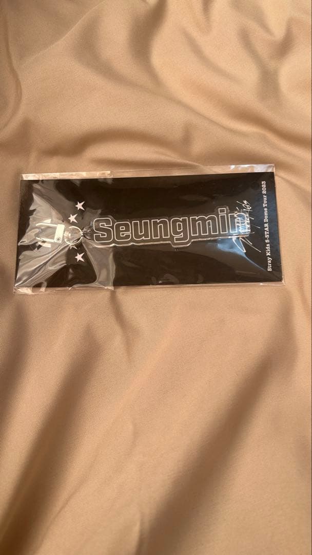 

[USED] Stray Kids Seungmin Keychain 2023