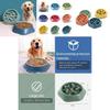 Vibrant Anti-spill Pet Feeding Bowl Slow Feeder Design For Dogs And Cats Multiple Colors Available