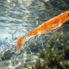 Soft Bait Fishing Lure Paddle Tail Design Durable Flexible Material Suitable for Freshwater and Saltwater Fishing Long Casting Distance
