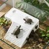 Non-Slip Basking Platform Suction Cup Turtle Climbing Slope Reptile Ramp  Pet Habitat