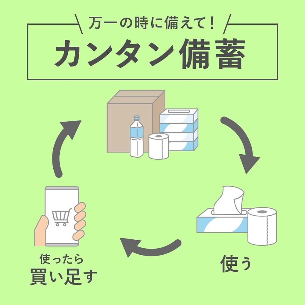 Japanese Product Elleair Kitchen Towel Ultra Absorbent Double Roll 100 Cuts Rolls (4 Rolls Packs) 100% Pulp