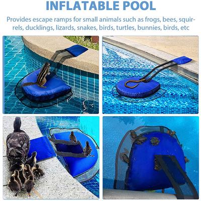 Rettungsrampe für Pooltiere zum Schutz von Fröschen, Vögeln und Enten – tierfreundliches Design