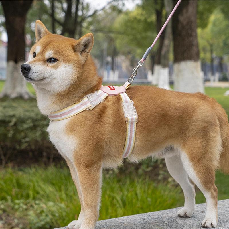 Dog Harness | Puppy Harness and Traction Rope | Adjustable Small Dog Harness Breathable Lightweight Vest Pet Lead Combo