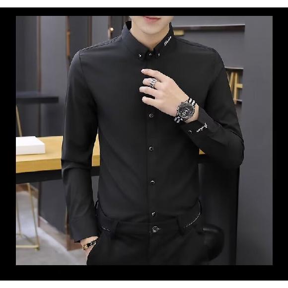 Men'S Slim Fit Long Sleeved Shirt, Personalized, No Iron, Casual, Big Neck, High Neck, Solid Color, Versatile Shirt, 2024 Spring And Autumn