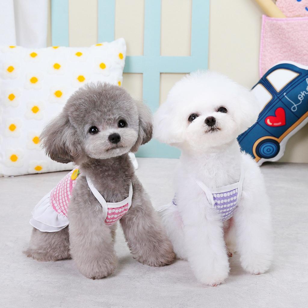 Spring and summer dog clothes thin vest dress pet clothing small dog cat corn suspender skirt