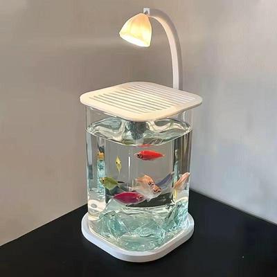 High-End Glass Betta Fish Tank with Creative Desktop Ornament & Viewing Light