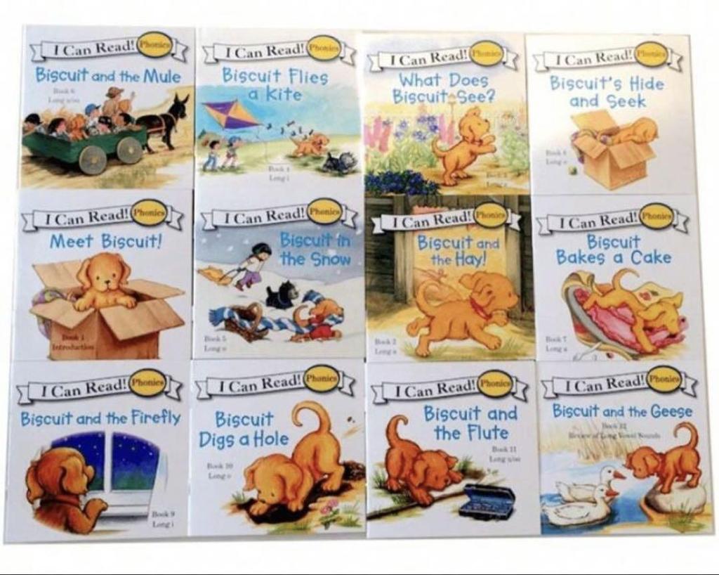 [USED] Biscuit Phonics 24 books English picture books