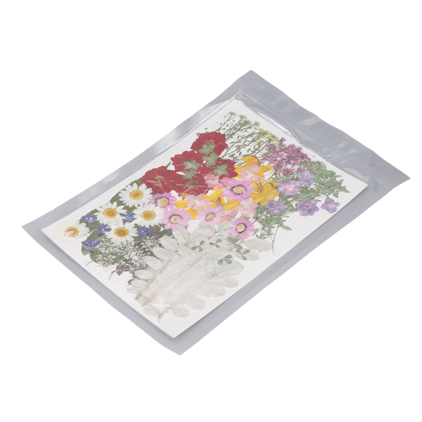 

100 шт. Засушенные прессованные цветы Натуральные цветы Набор образцов растений для DIY поделок, ювелирных изделий, изготовления свечей