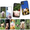 for Motorola Moto G54 G05 G24 G67 G55 G75 G9 G85 G15 G57 G86 Power Edge 50 30 Ultra Fusion neo Pro Case Anime Cute Pig Funny