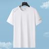 Short-sleeved T-shirt Men's Thin Ice-feeling Elastic Ice Silk T-shirt Casual T-shirt Men's Short T-shirt Large Size