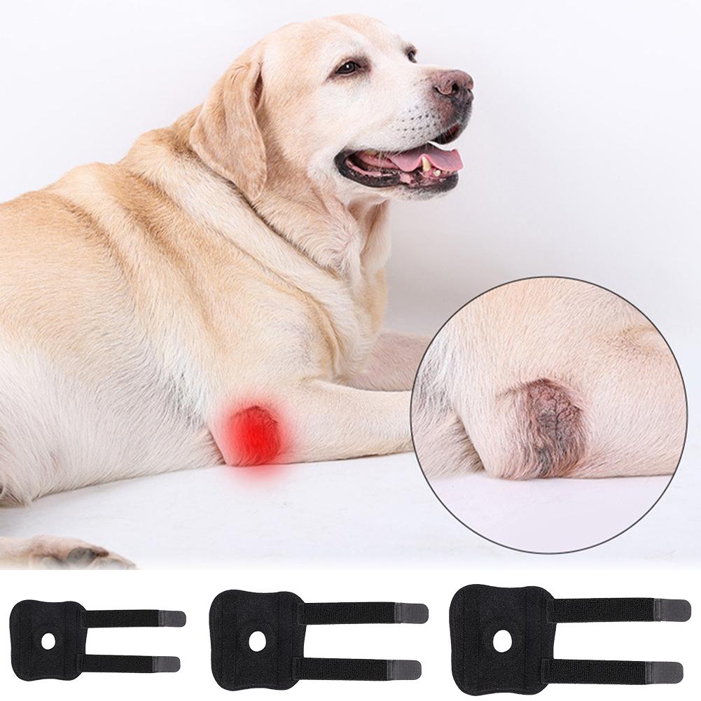 Dog Hock Support Canine Rear Injury Recovery Fixed Leg Support Brace Pain Relief Dog Knee Pads Knee Brace Joint Wrap Support Pet Recover
