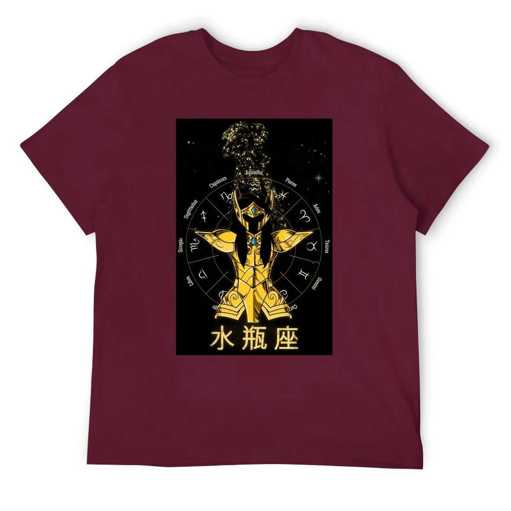 Aquarius Twelve Constellation (15) T-shirt Round Neck Sports Top Tee Premium Home Graphic USA Size