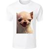 Evil Chihuahua Meme Funny T Shirt